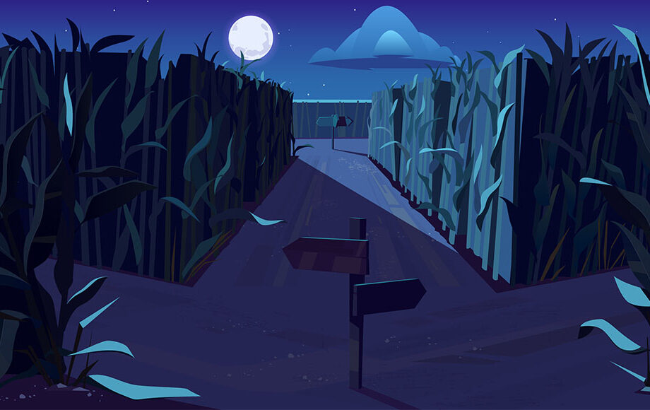 an illustration of a cornfield maze at night